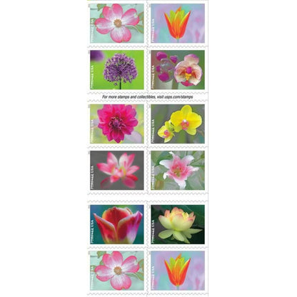 Garden Beauty USPS Forever Postage Stamps (5) books of 20 (100 total)