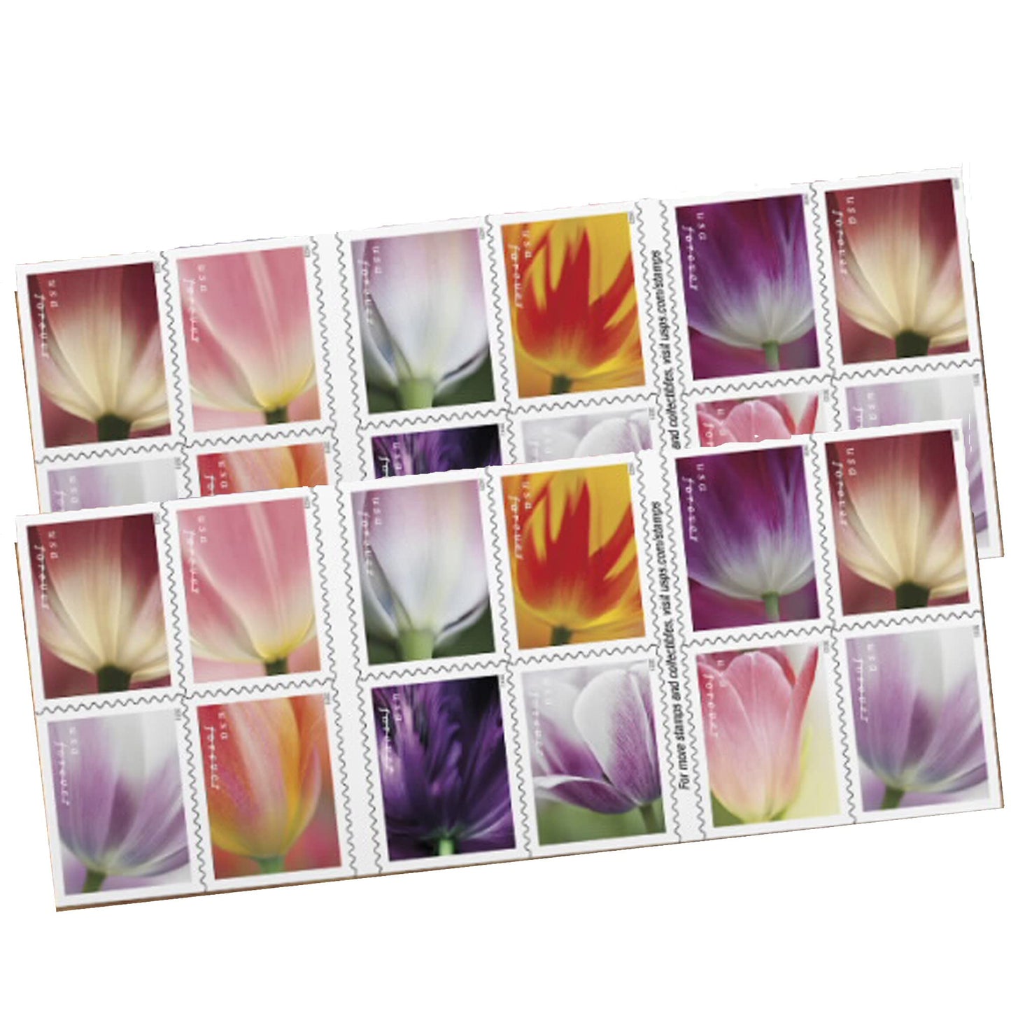 Summer Tulips 2023 5 sheets of 20 (100 total) USPS Forever Postage Stamps