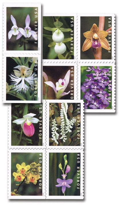 Wild Orchids Forever stamps 5 books of 20 (100 stamps total)