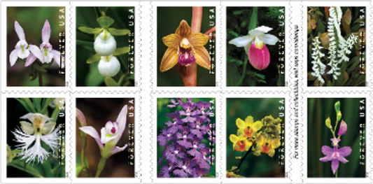 Wild Orchids Forever stamps 5 books of 20 (100 stamps total)